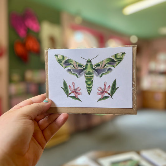 Hawk Moth - A6 Card