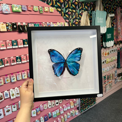 Emperor Butterfly - Paper Taxidermy Frame