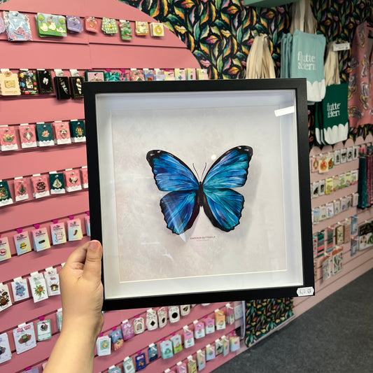 Emperor Butterfly - Paper Taxidermy Frame