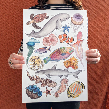 Great Barrier Reef - Art Print