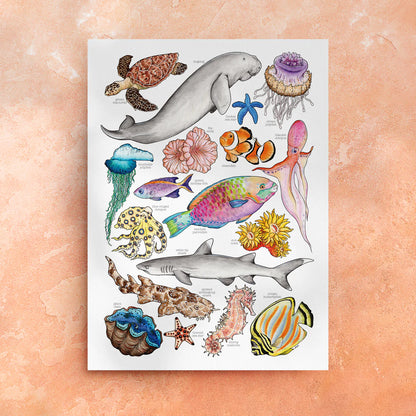 Great Barrier Reef - Art Print