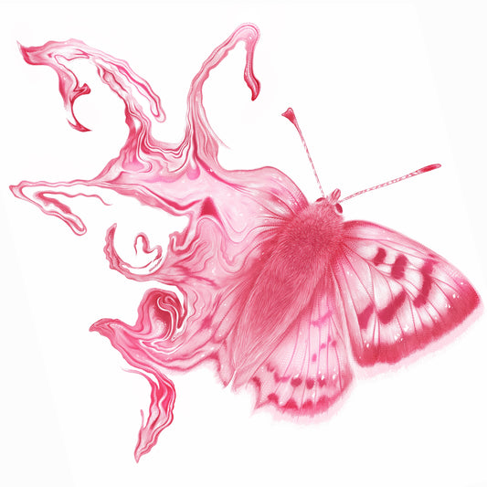 Pink Moths - Square Print