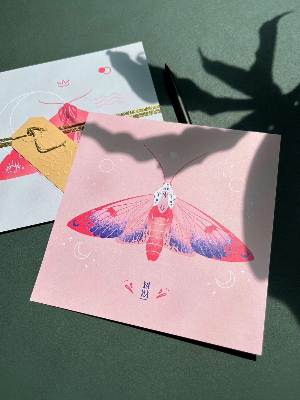 Moths - Postcards