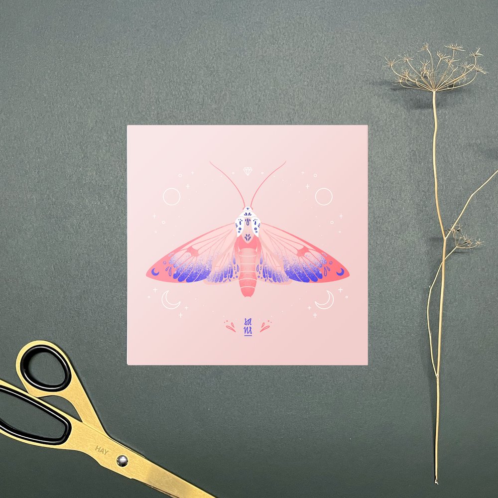 Moths - Postcards