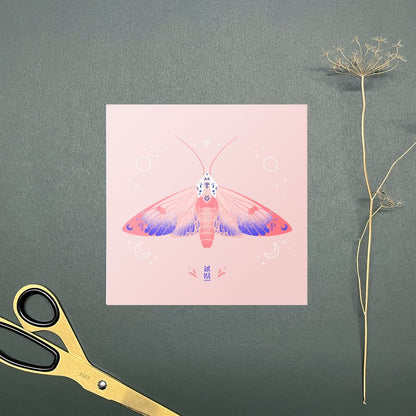 Moths - Postcards