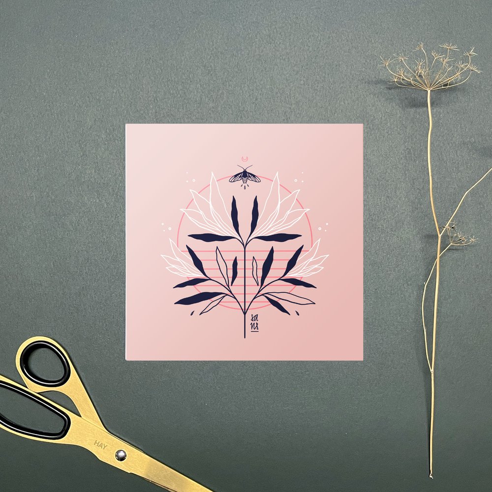 Moths - Postcards