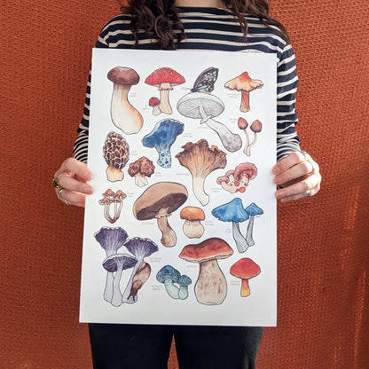 Mushrooms - Art Print