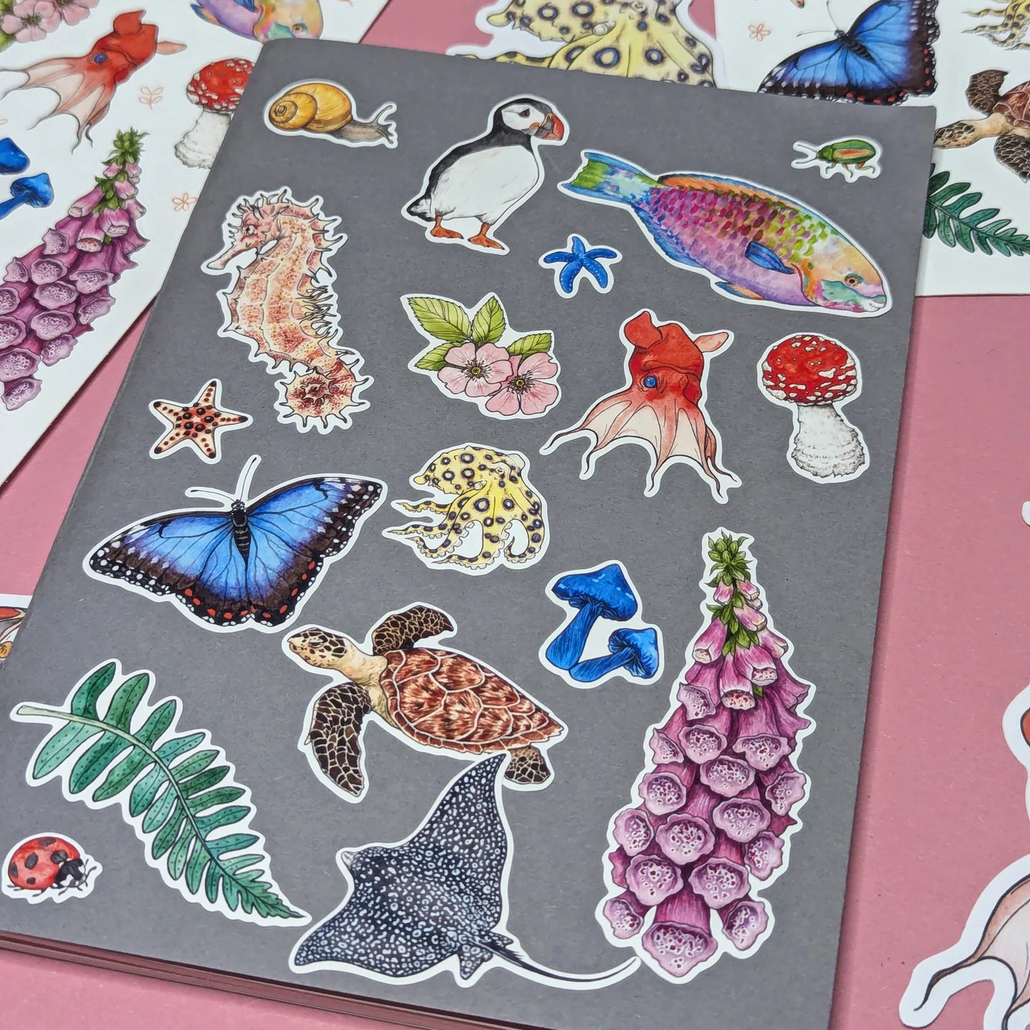 Drawn To Natures Favourites - Sticker Sheet