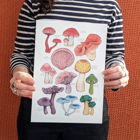 Rainbow Mushrooms - A4 Art Print