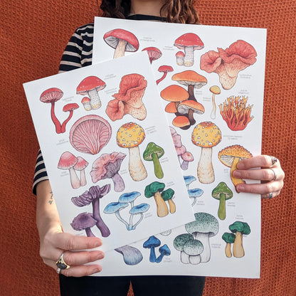 Rainbow Mushrooms - Art Print