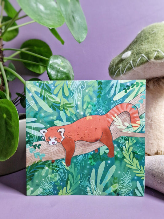 Lazy Red Panda - Square Card - Flutter & Fern