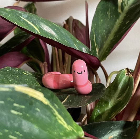 Worm - Desk Buddy