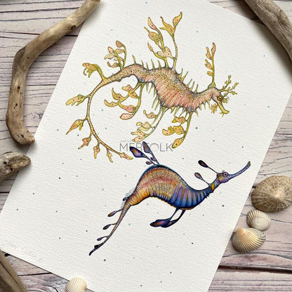 Weedy Sea Dragon - A5 Print