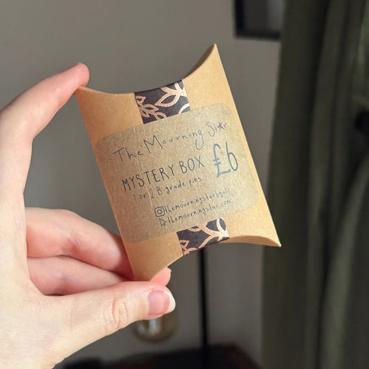 Small 'B Grade' Mystery - Pin Blind Box