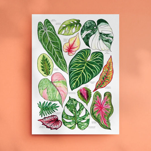 Tropical Leaves - A3 Art Print