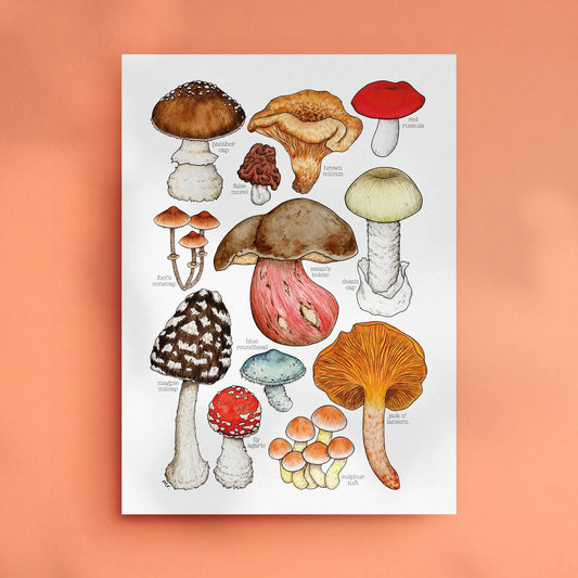 Toxic Mushrooms - A4 Art Print