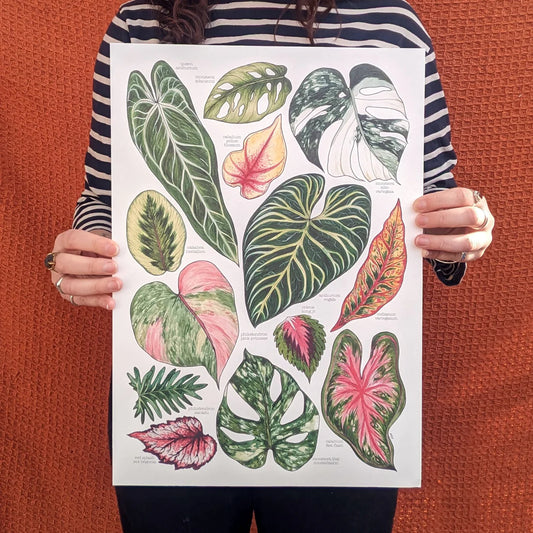 Tropical Leaves - A3 Poster