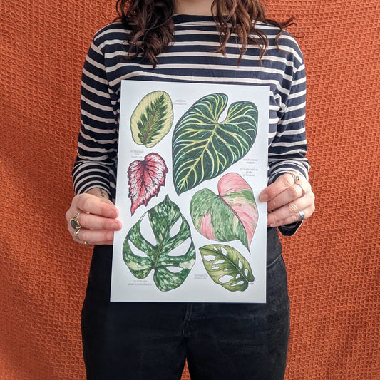 Tropical Leaves - A4 Poster