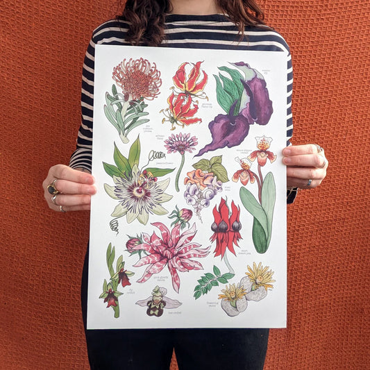 Unusual Flora - A3 Poster