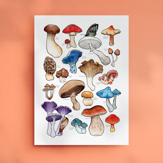 Mushrooms - Print