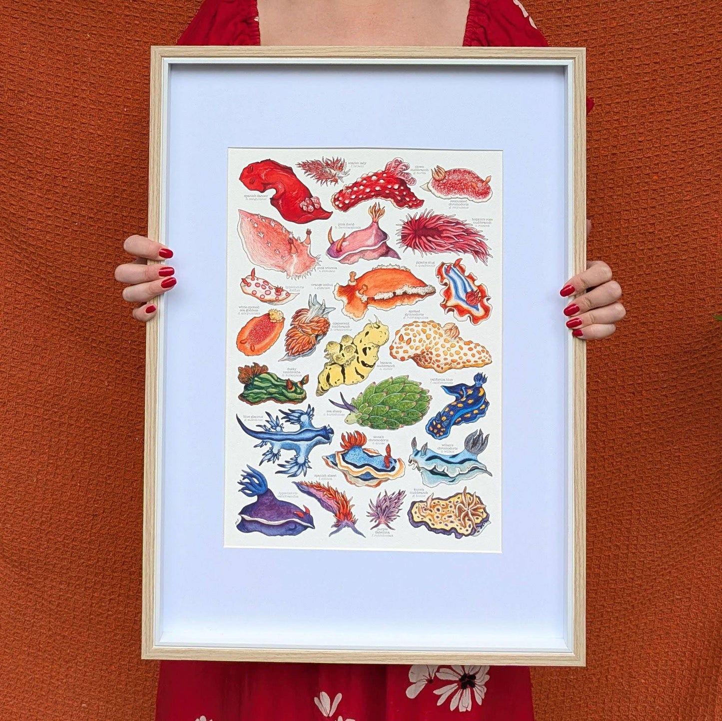 Rainbow Sea Slugs - A5 Print