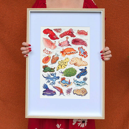 Rainbow Sea Slugs - A5 Print