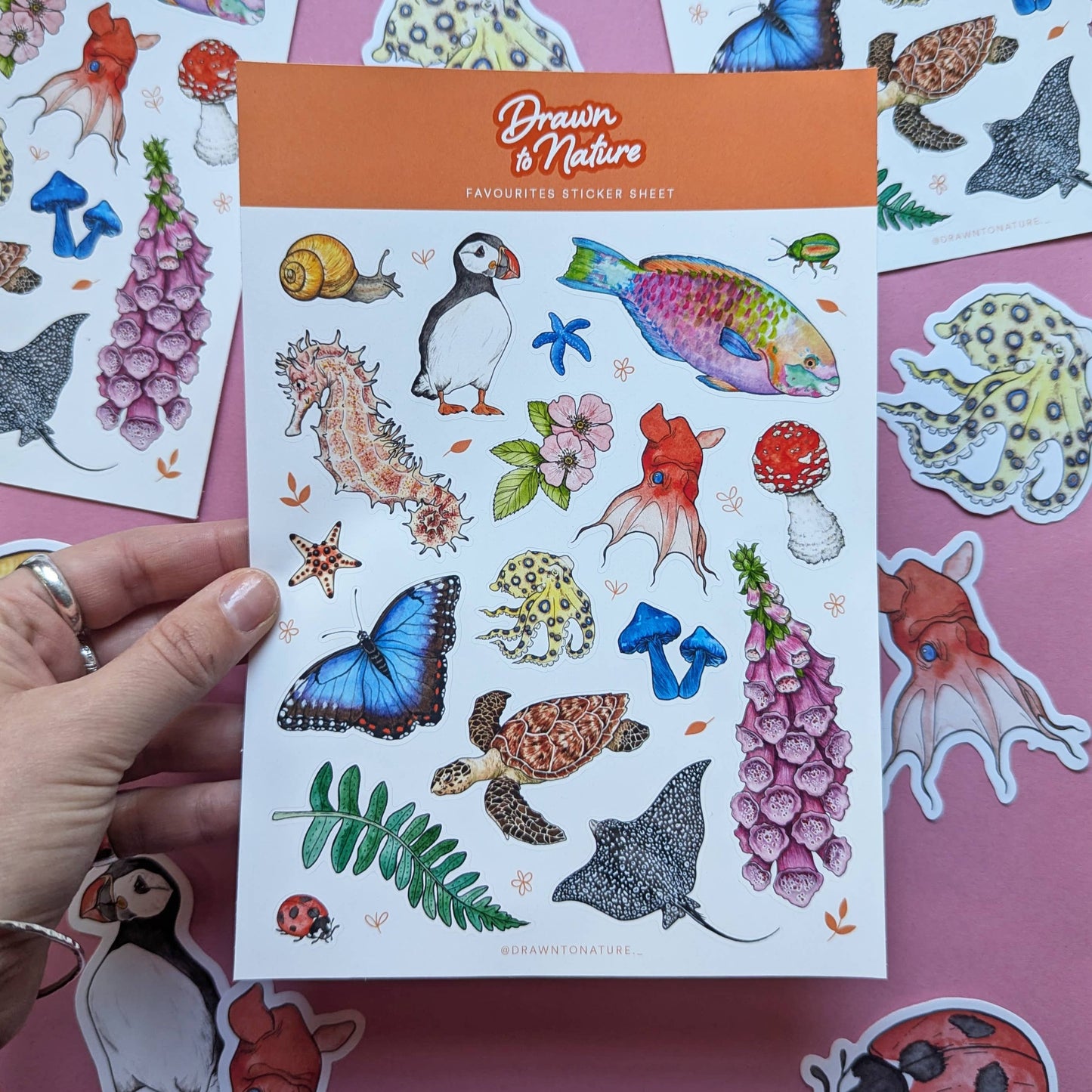 Nature Sticker Sheet - Wildlife Favourites Stickers