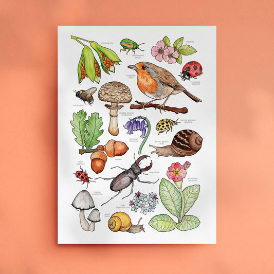 British Wildlife - Print