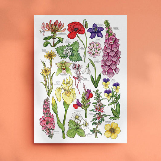 Wildflowers - Print