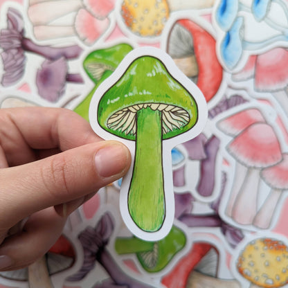 Rainbow Mushroom - Sticker Pack