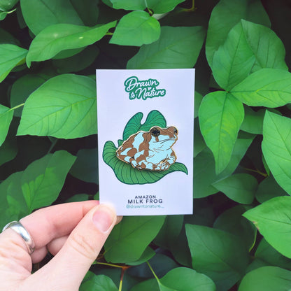 Frog Enamel Pin Pair - Tree Frog & Milk Frog - Nature Pins