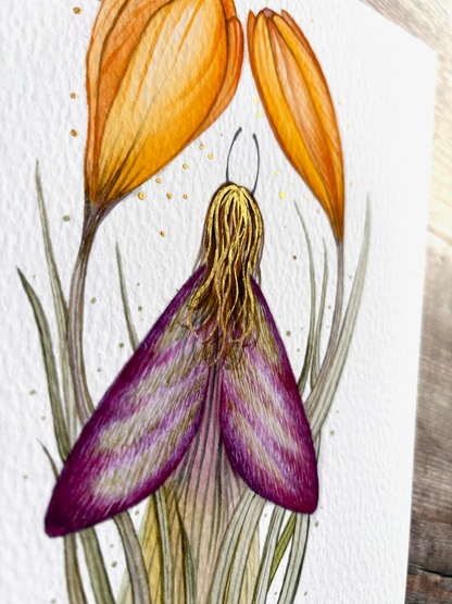 Crocus Fairy - A5 Print