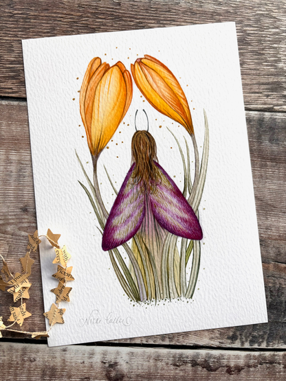 Crocus Fairy - A5 Print