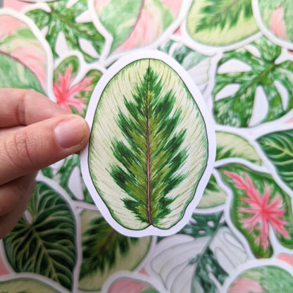 Tropical Leaves - Sticker Pack