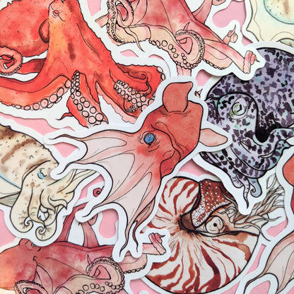 Cephalopods Sticker Pack - Octopus Stickers