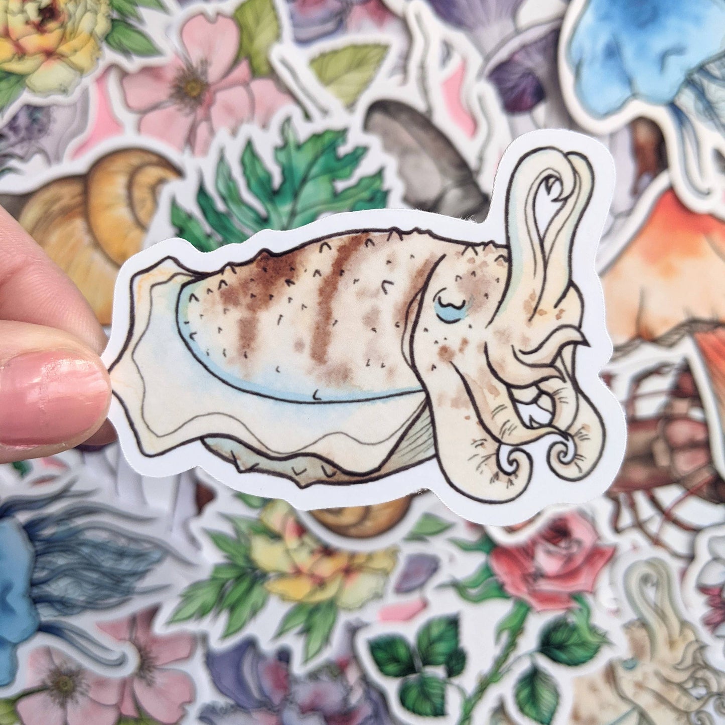 Cephalopods Sticker Pack - Octopus Stickers