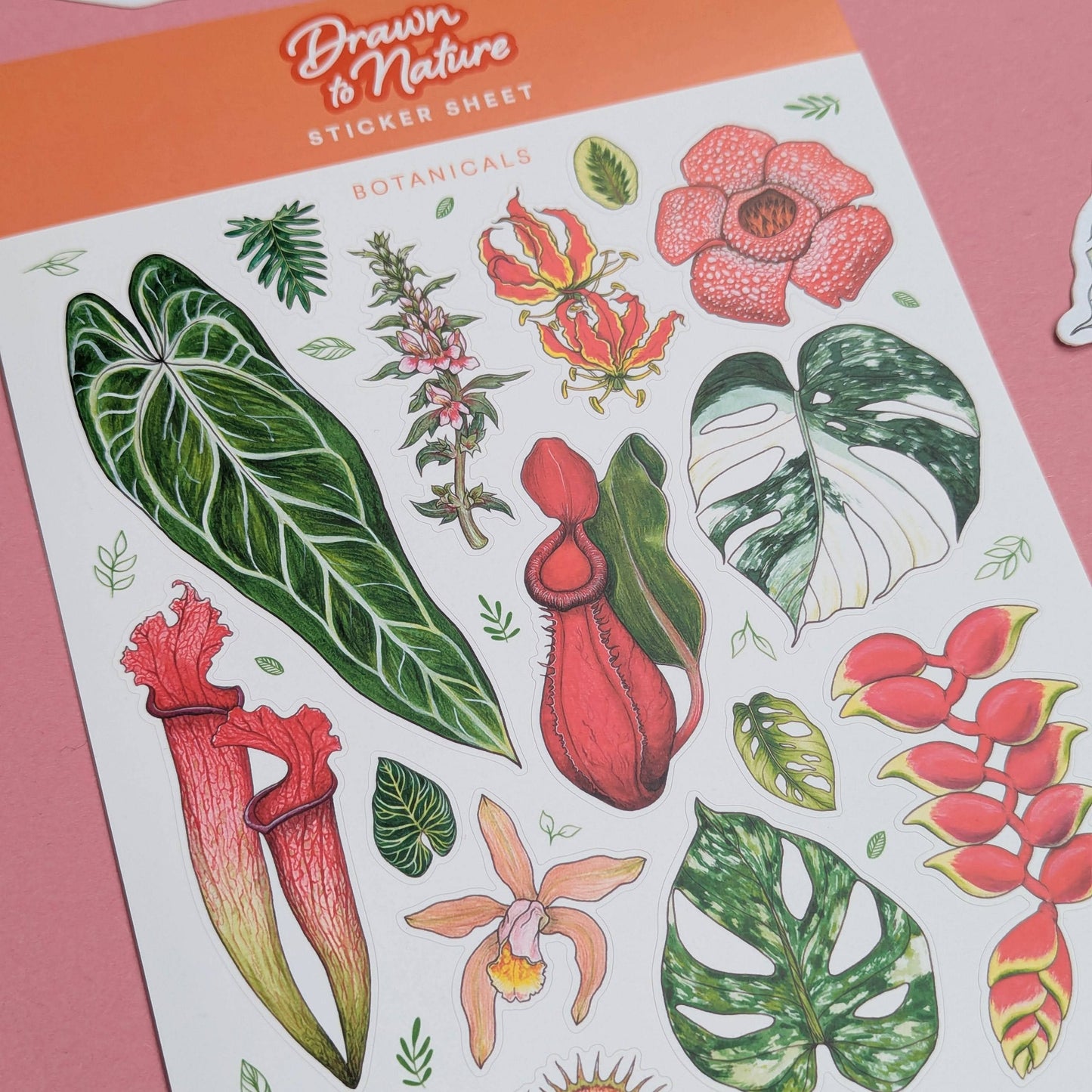 Botanicals Sticker Sheet - Nature Stickers