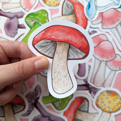 Rainbow Mushroom - Sticker Pack