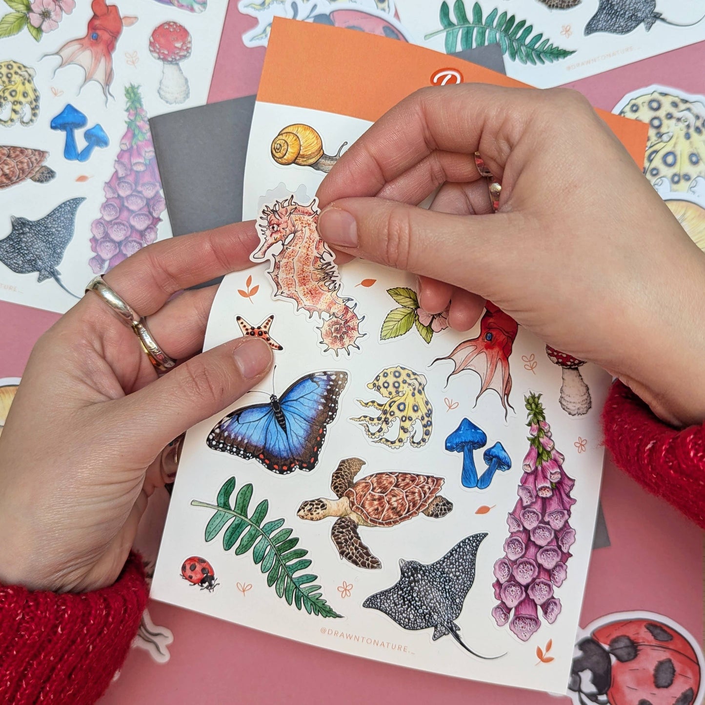 Nature Sticker Sheet - Wildlife Favourites Stickers