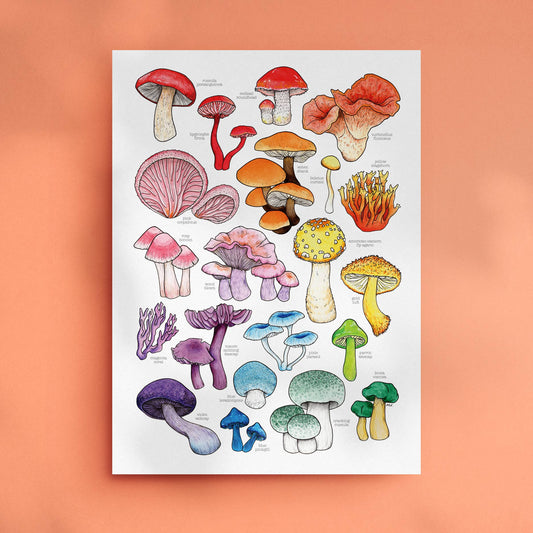 Rainbow Mushroom Print - Mushrooms Print