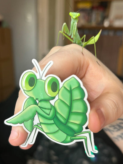 Leaf Mantis - Sticker