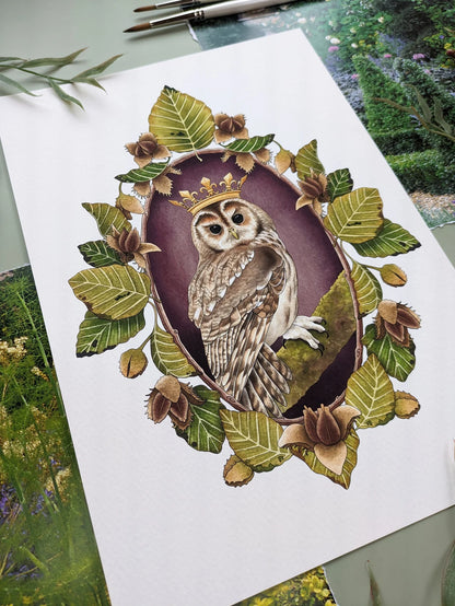 Owl Portrait - A4 Print