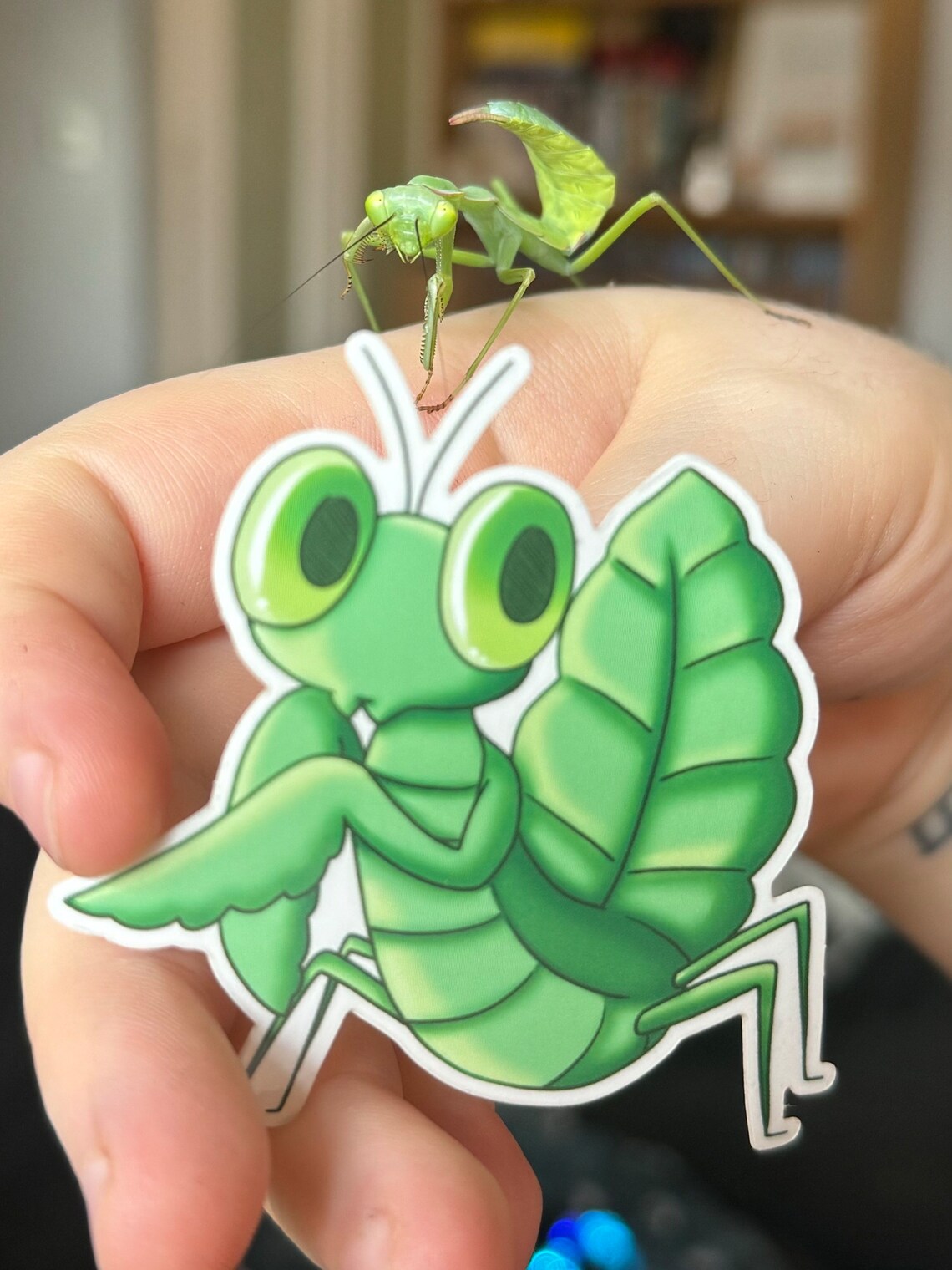 Leaf Mantis - Sticker