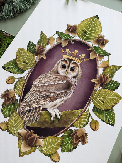 Owl Portrait - A4 Print