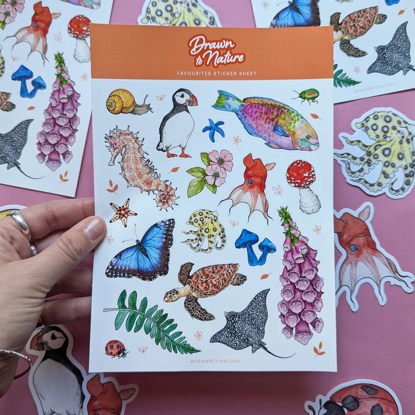 Drawn To Natures Favourites - Sticker Sheet