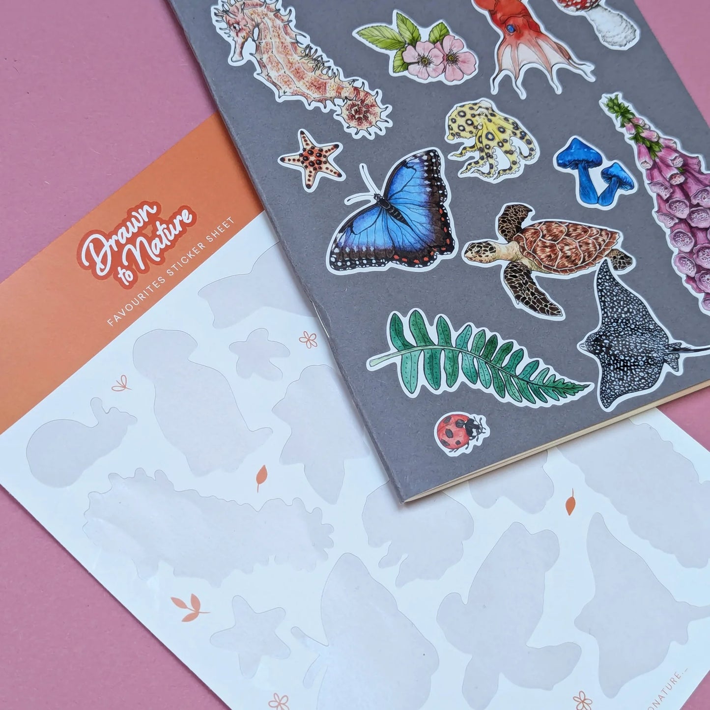 Drawn To Natures Favourites - Sticker Sheet